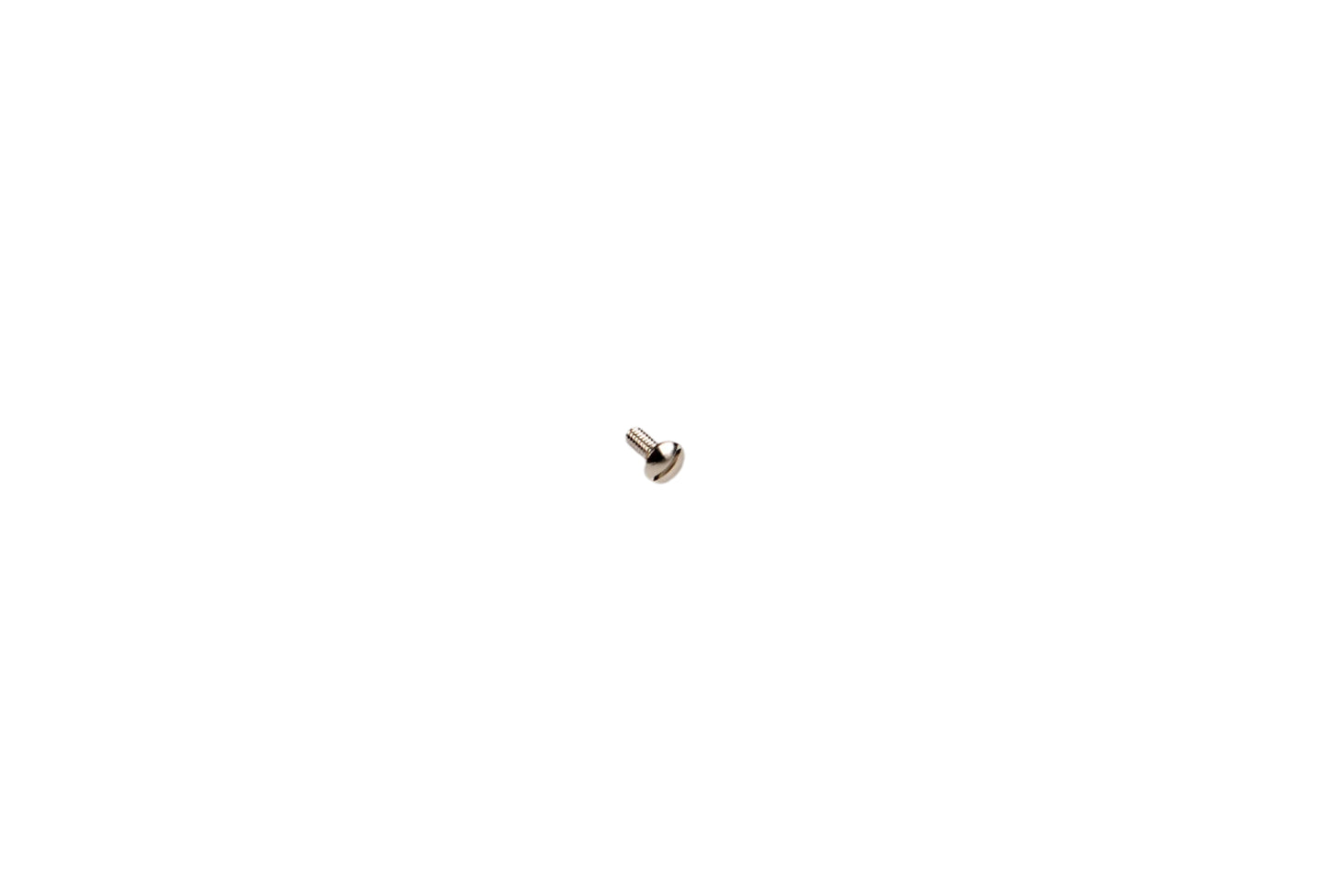 Small metal screw on a white background