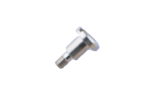 Metal screw on a white background