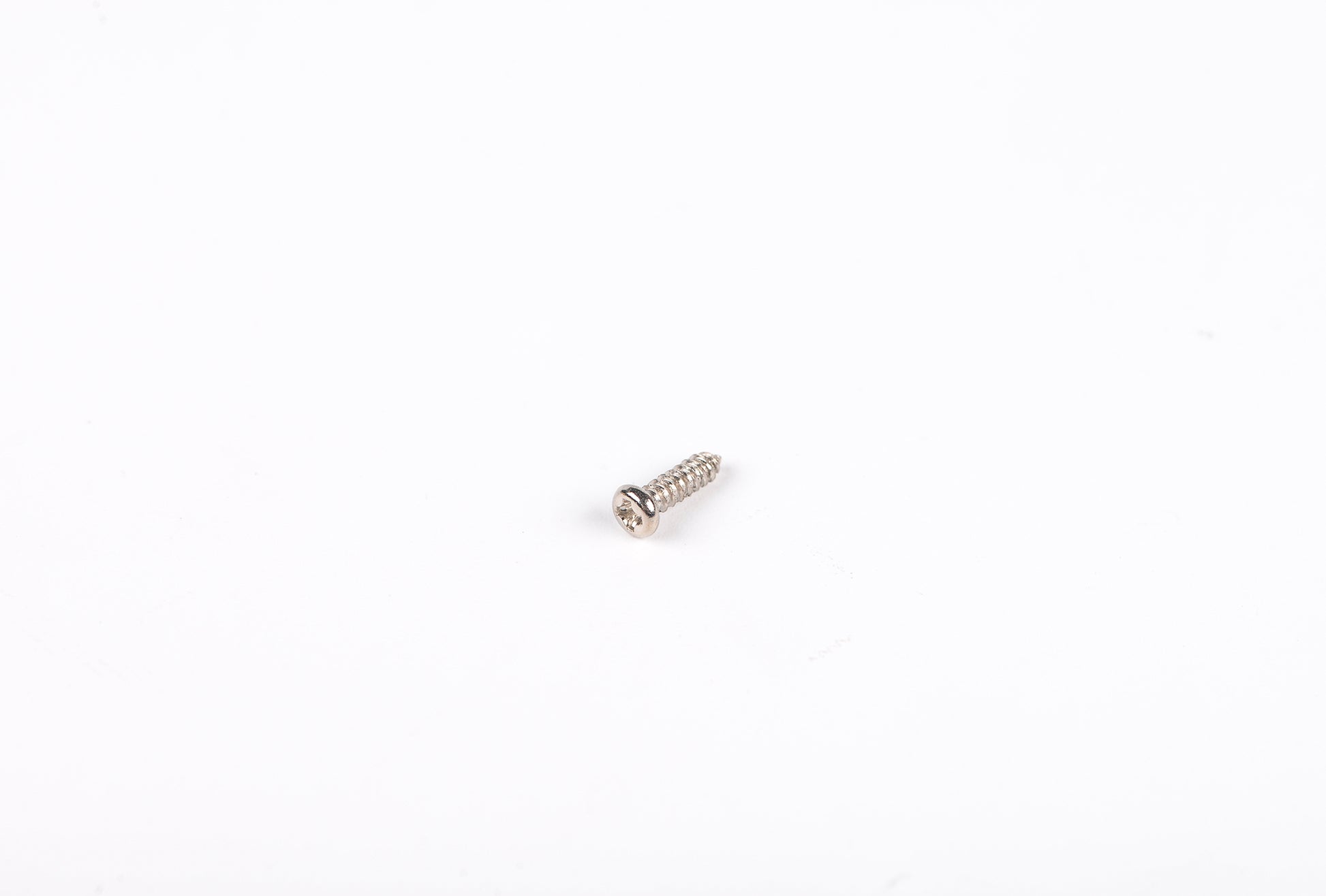 Metal screw on a white background