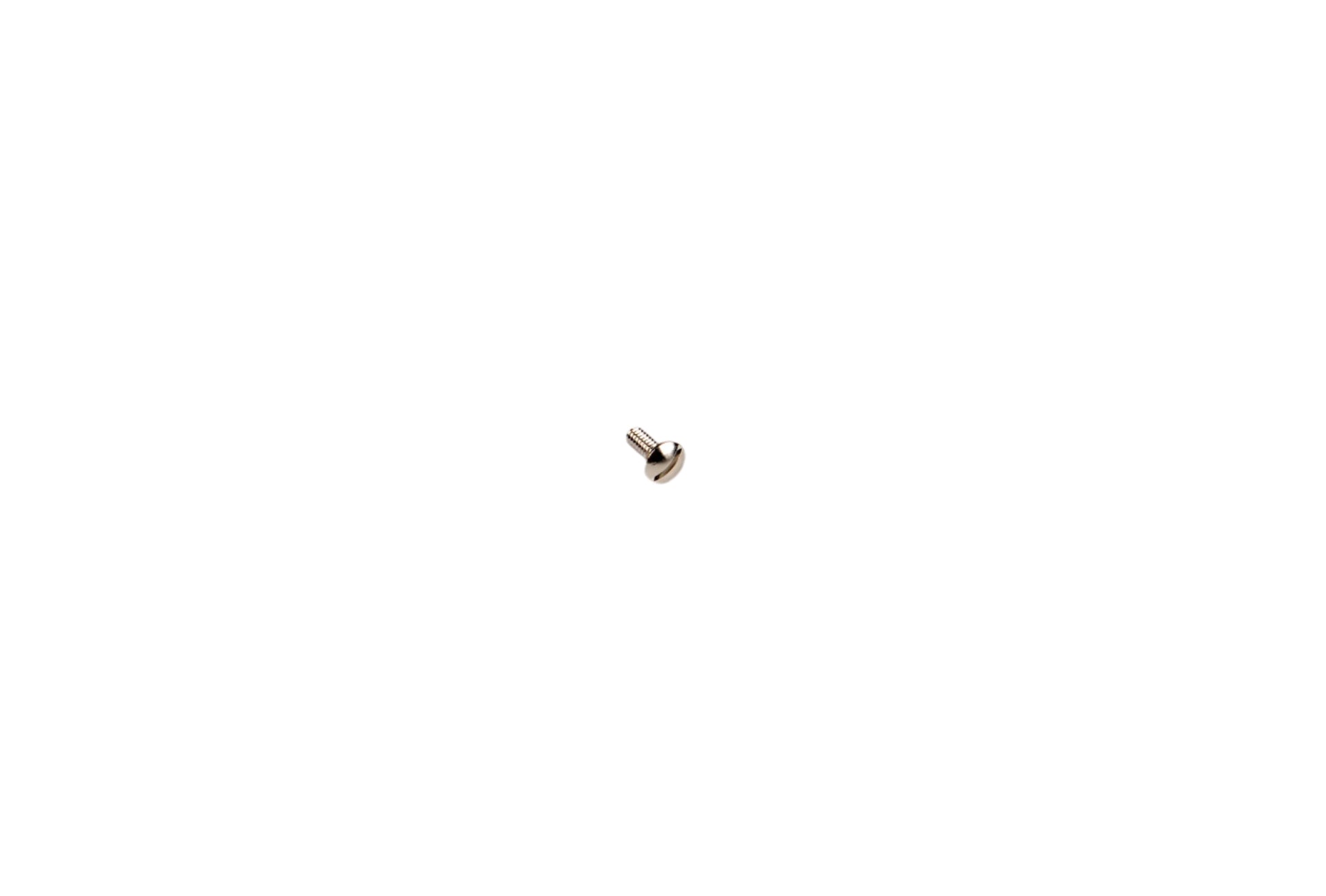 Small metal screw on a white background