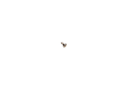 Small metal screw on a white background