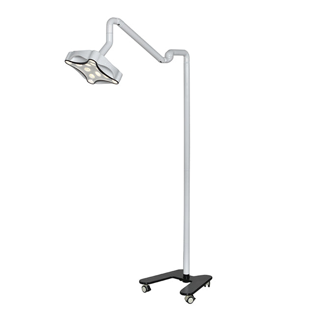 Lampe auxiliaire mobile à LED pour examen dentaire et vétérinaire, comme instrument de petite chirurgie et éclairage auxiliaire, luminance réglable