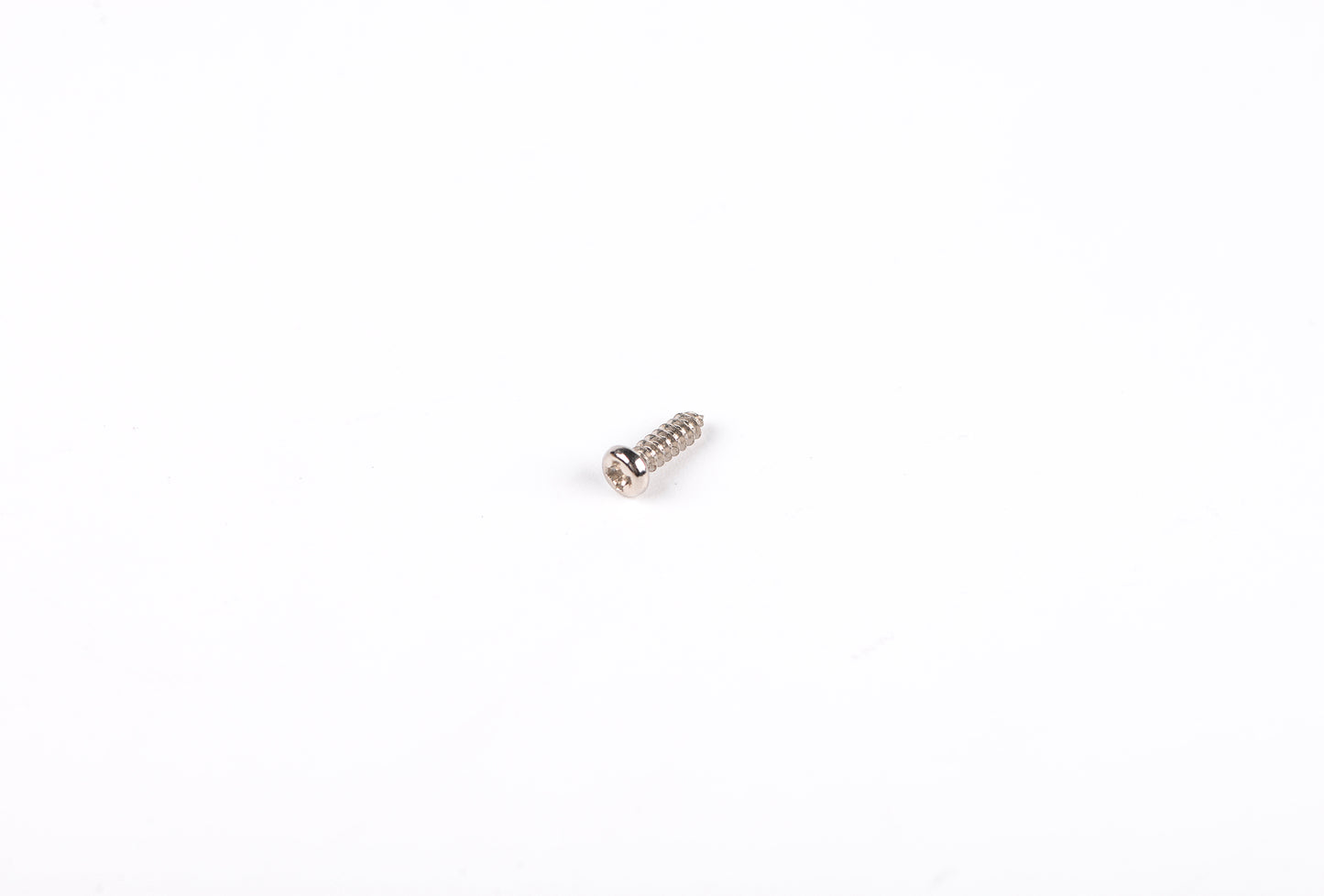 Small metal screw on a white background