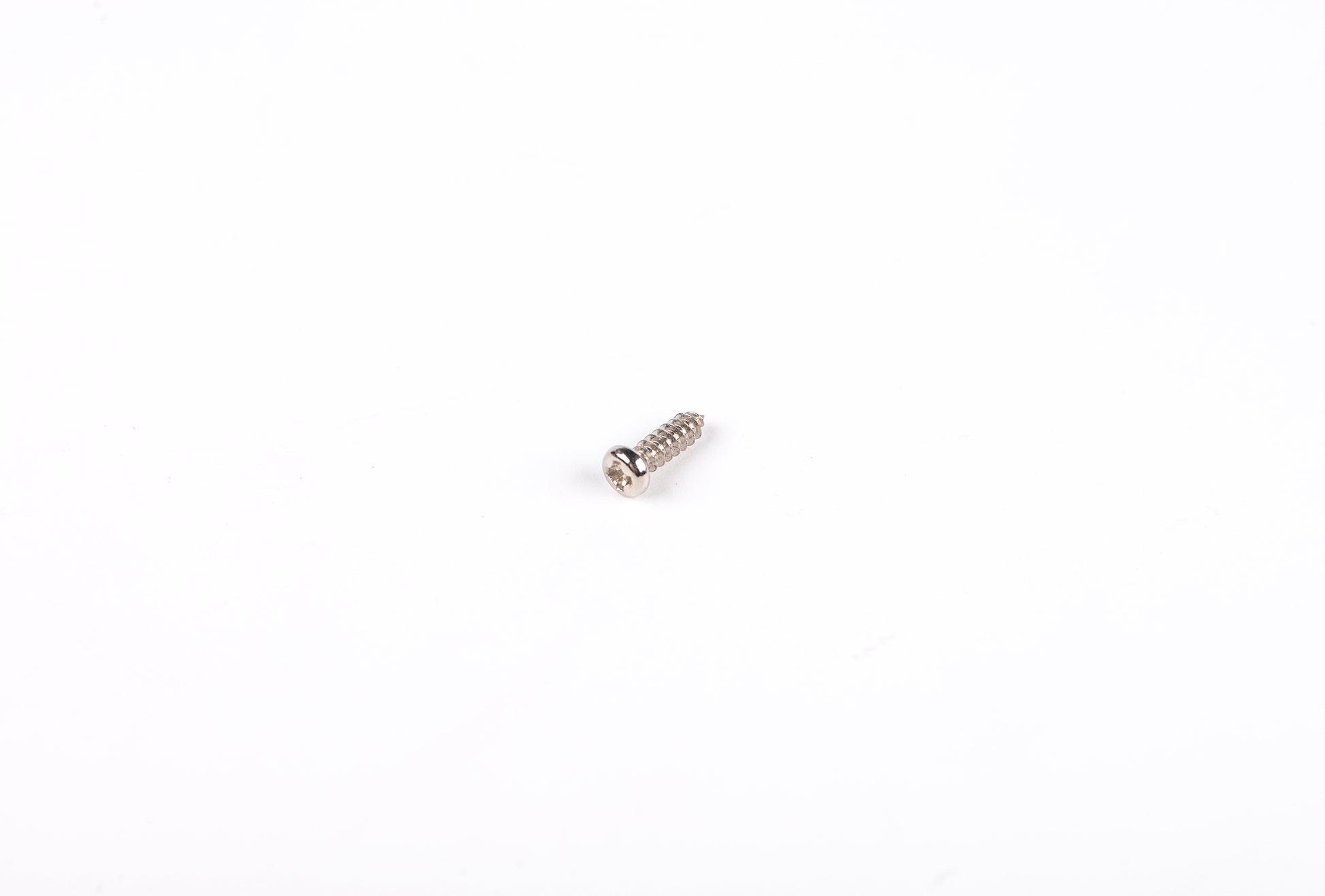 Small metal screw on a white background