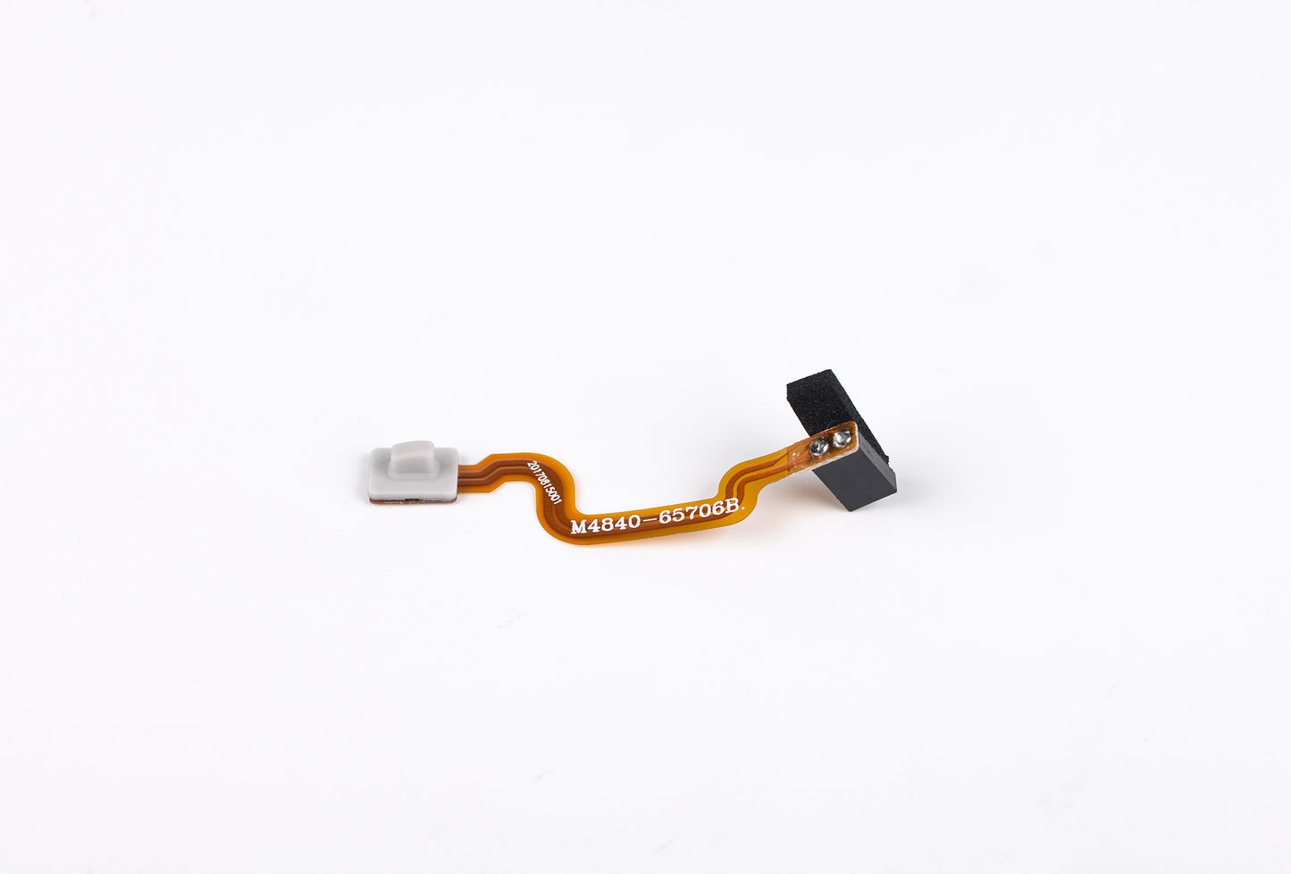 Flexible circuit board with connectors on a white background