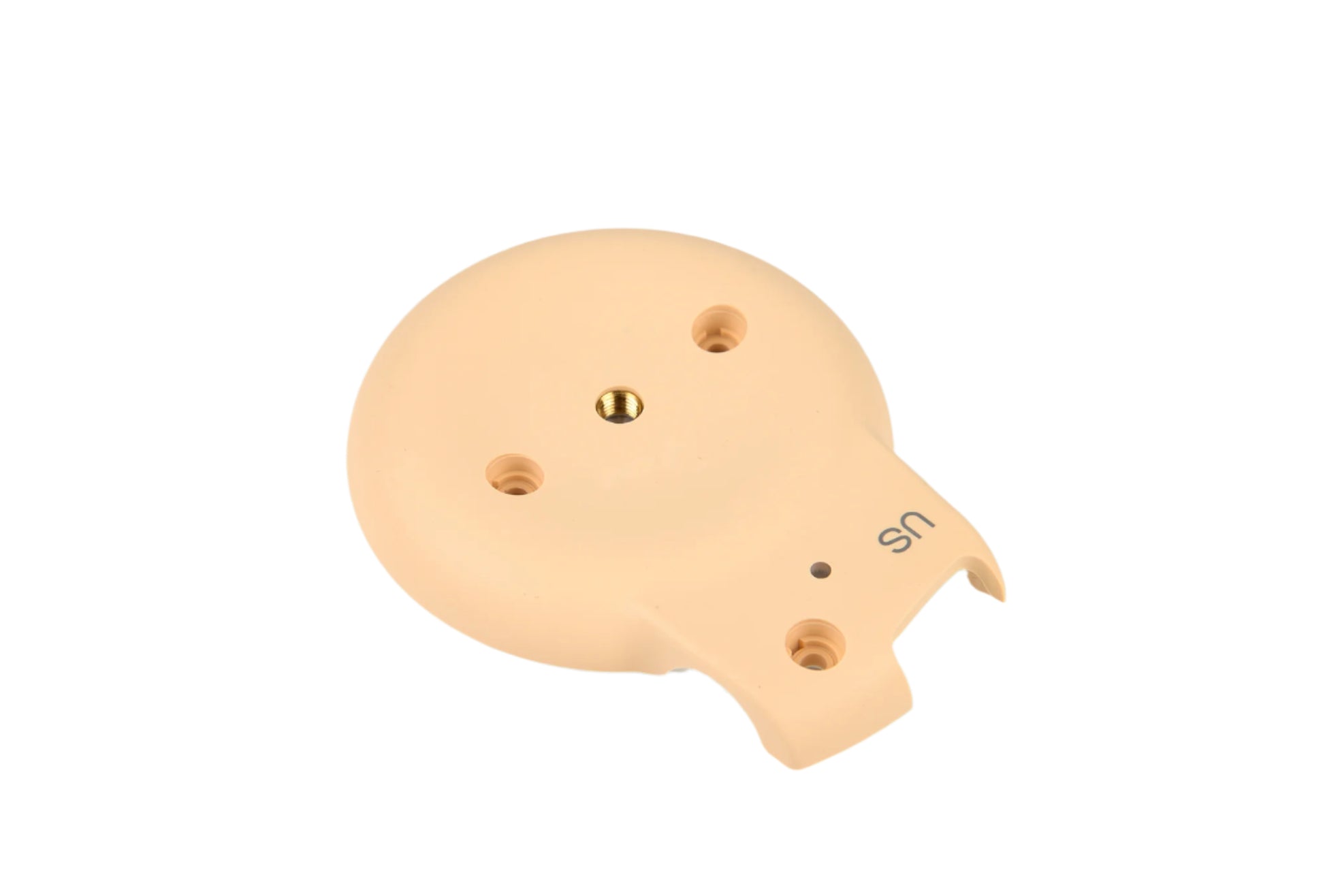 Beige ear model with holes on a white background
