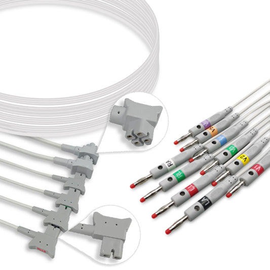 A set of medical ECG (electrocardiogram) leads with banana connectors and a white cable, designed for use with Philips ECG equipment.